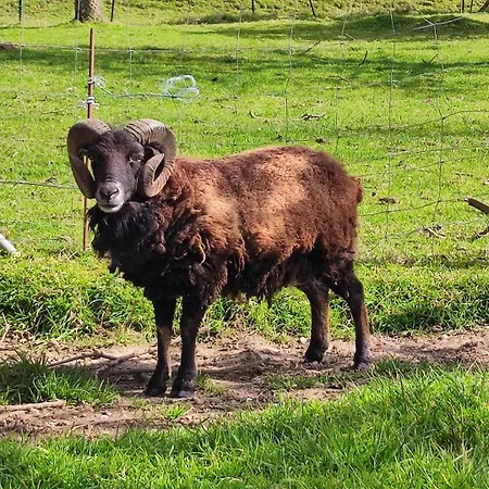 Chez Mémère Сasa de vacaciones *